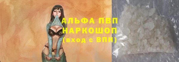 эйфоретик Гусь-Хрустальный