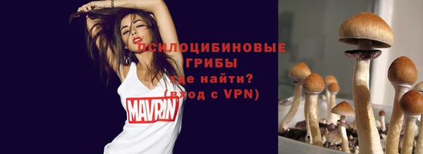 ешки Нефтегорск