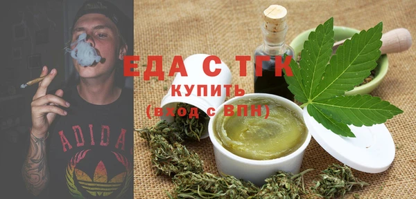 эйфоретик Гусь-Хрустальный