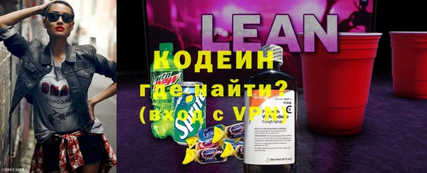 эйфоретик Гусь-Хрустальный