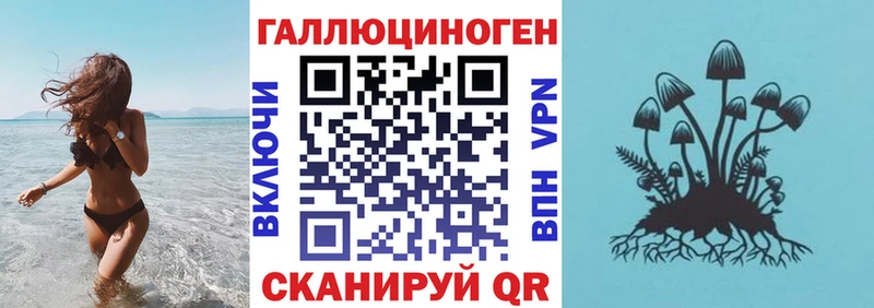 ссылка на мегу сайт Пикалёво Псилоцибиновые грибы прущие грибы